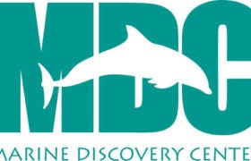 Spend a Day at the Marine Discovery Center