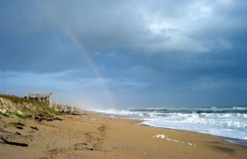 Spend a Day at the Canaveral National Seashore