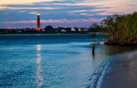 Exciting Nature Parks Near New Smyrna Beach