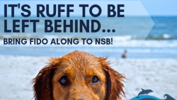 It’s RUFF to be Left Behind… Bring Fido Along to NSB!