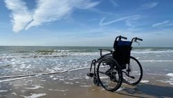 Wheelchair Accessible Beaches and Rentals in NSB